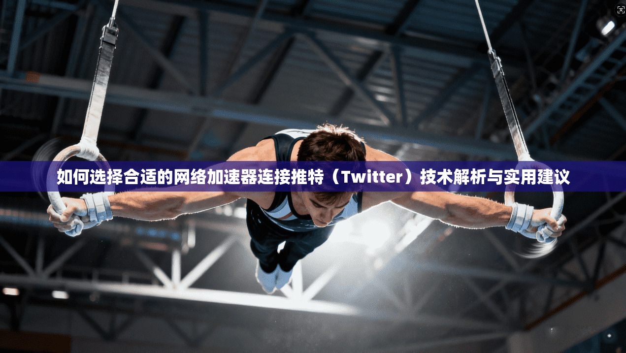 如何选择合适的网络加速器连接推特(Twitter)技术解析与实用建议