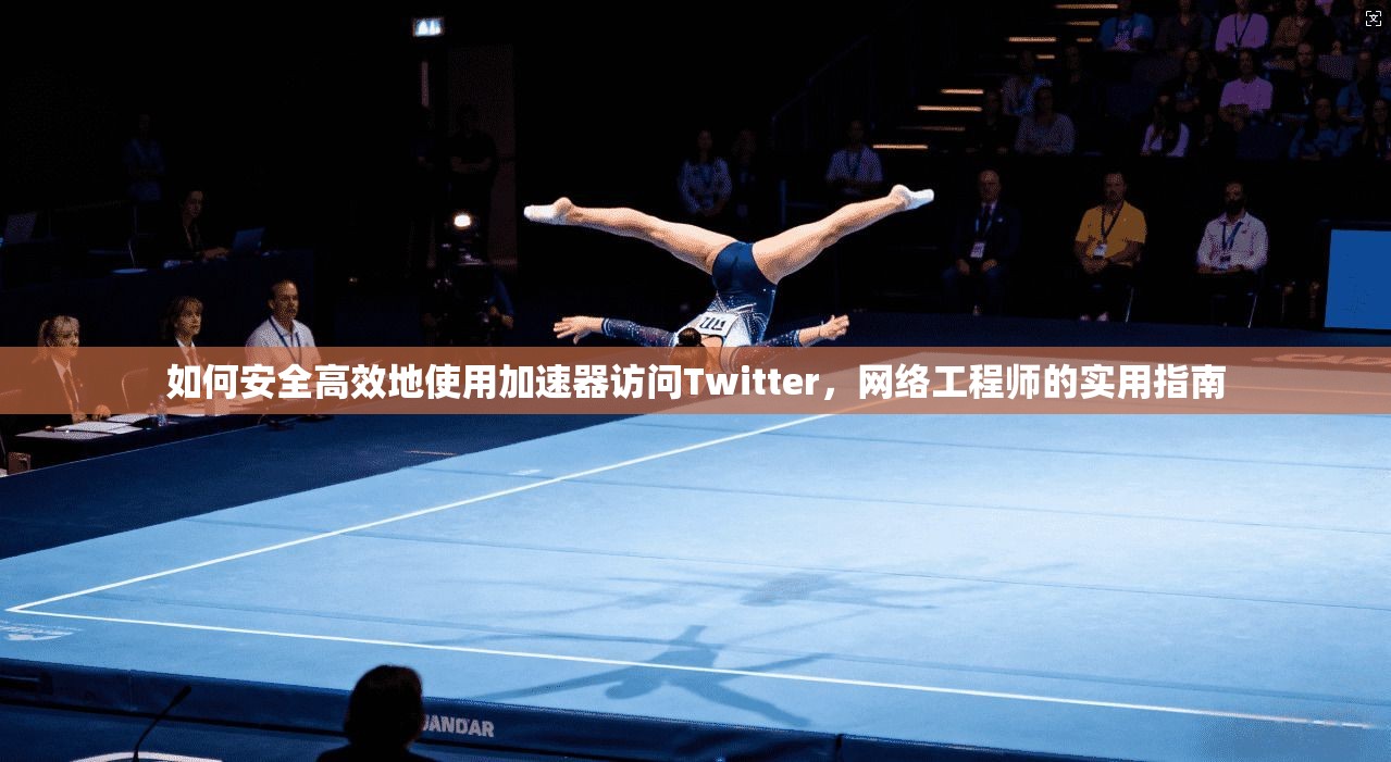 如何安全高效地使用加速器访问Twitter,网络工程师的实用指南
