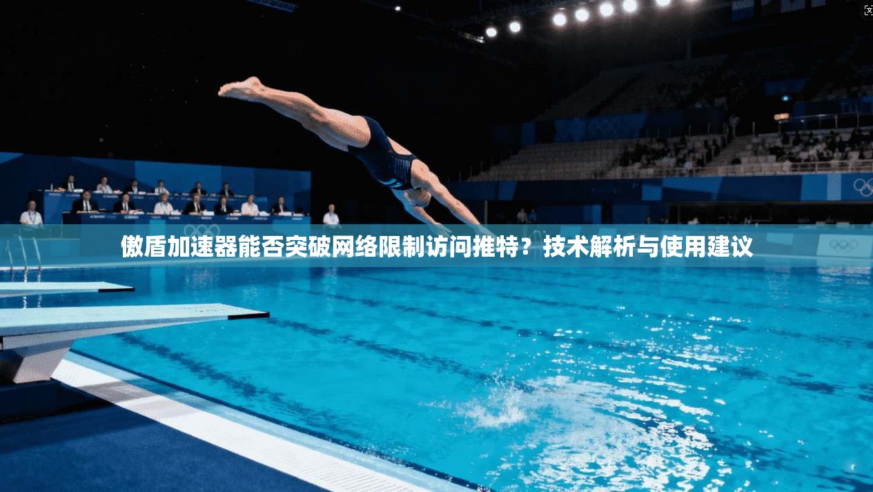 傲盾加速器能否突破网络限制访问推特？技术解析与使用建议