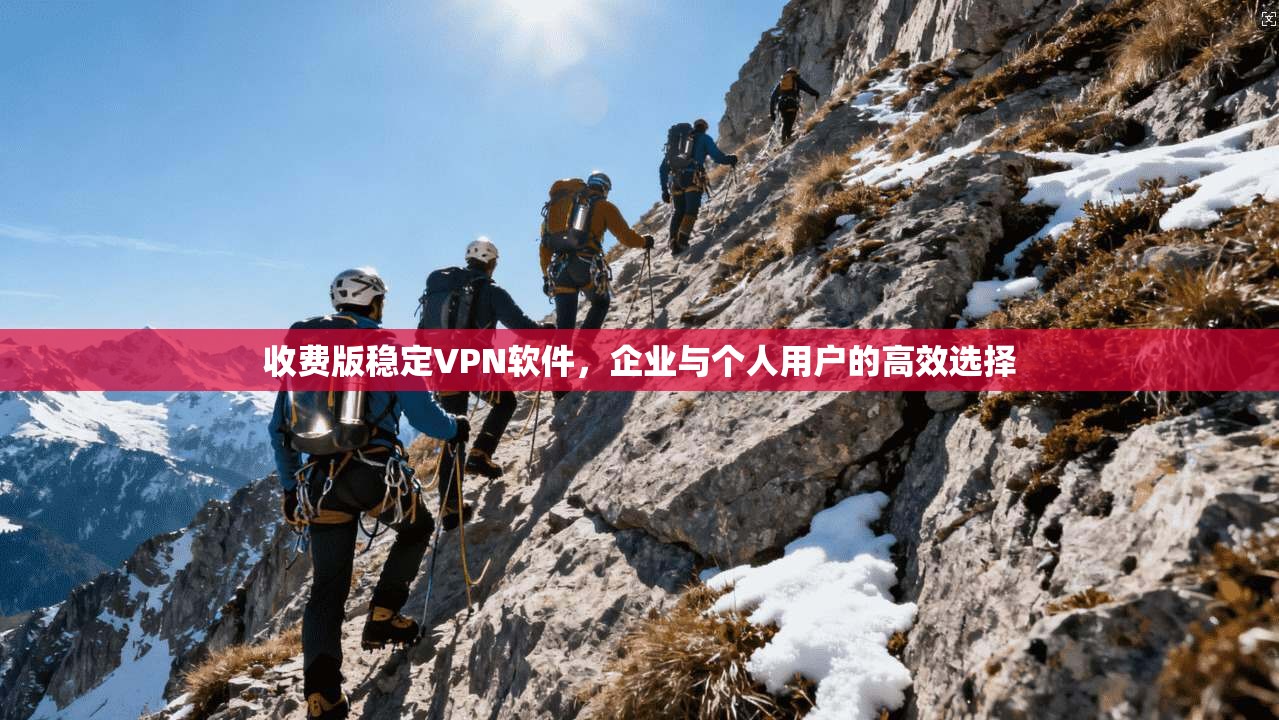 收费版稳定VPN软件,企业与个人用户的高效选择