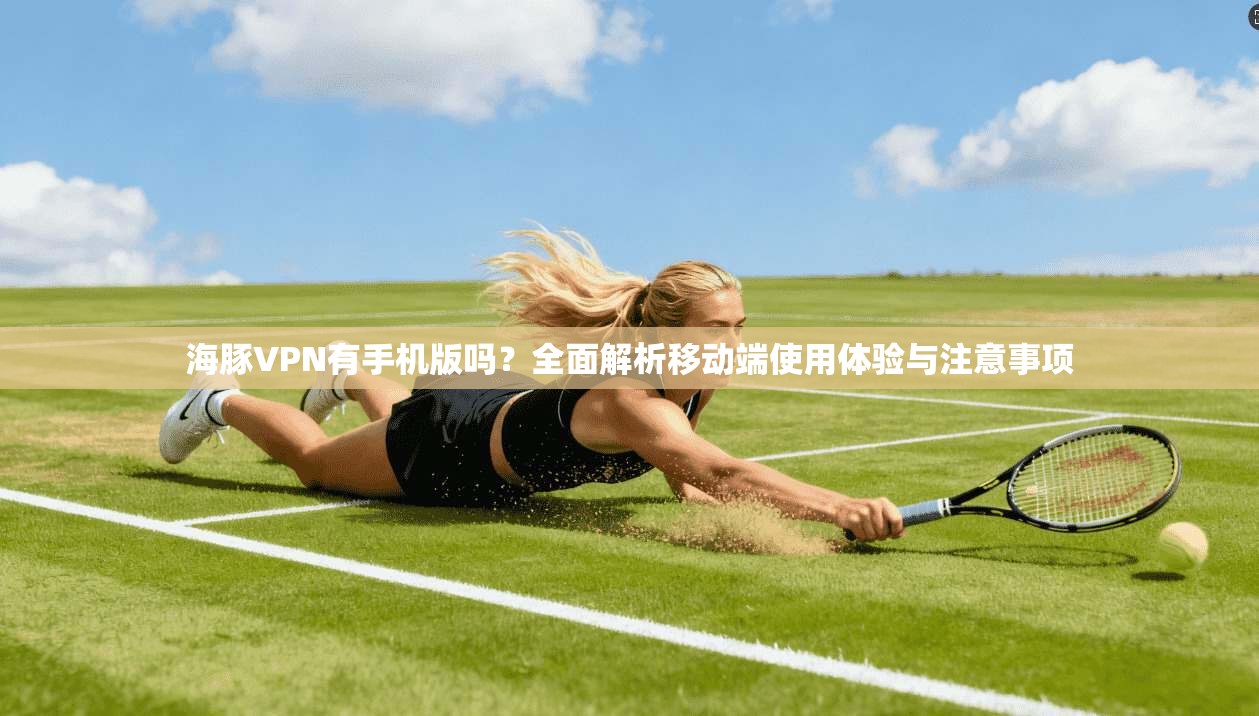 海豚VPN有手机版吗?全面解析移动端使用体验与注意事项