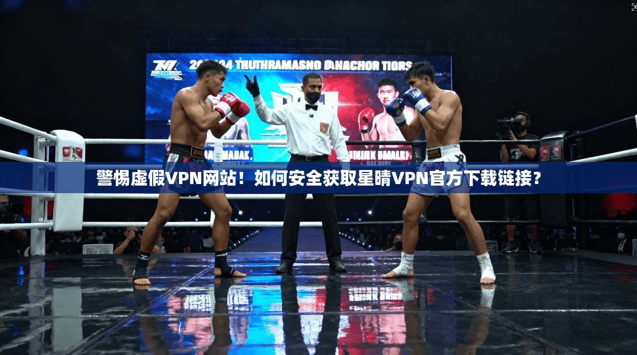 警惕虚假VPN网站！如何安全获取星晴VPN官方下载链接？