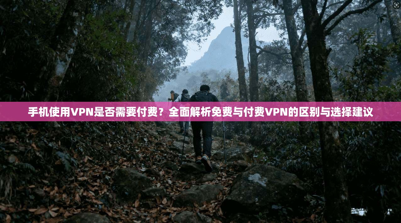手机使用VPN是否需要付费?全面解析免费与付费VPN的区别与选择建议