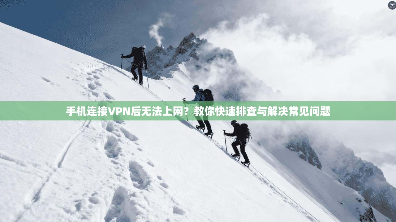 手机连接VPN后无法上网?教你快速排查与解决常见问题