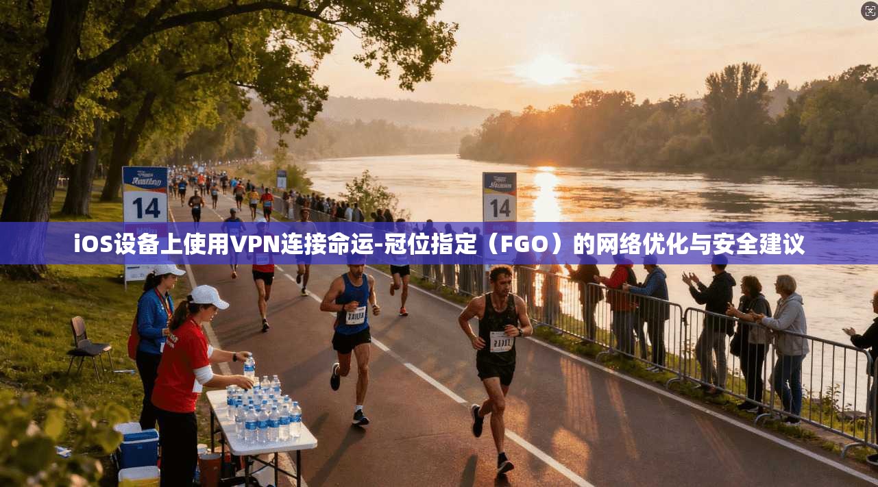 iOS设备上使用VPN连接命运-冠位指定(FGO)的网络优化与安全建议