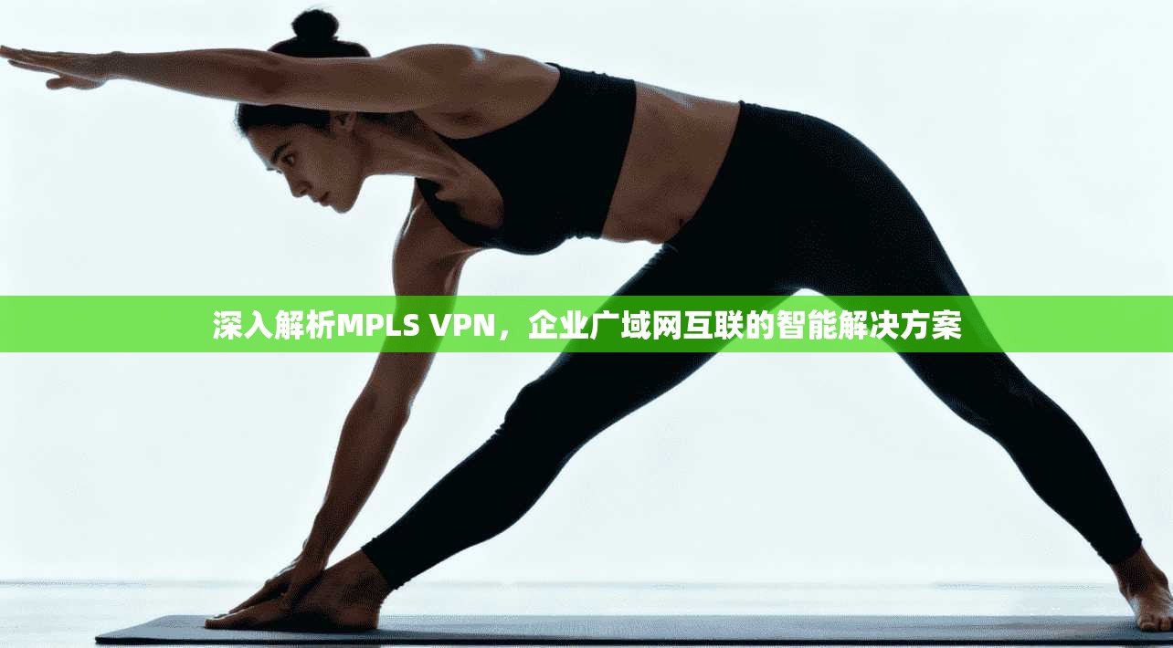 深入解析MPLS VPN,企业广域网互联的智能解决方案